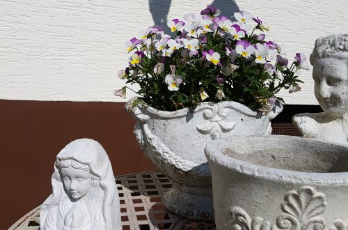 Im garten